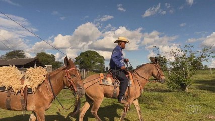 Família faz viagem de mais de 1.400 km para a Romaria do Divino Pai Eterno