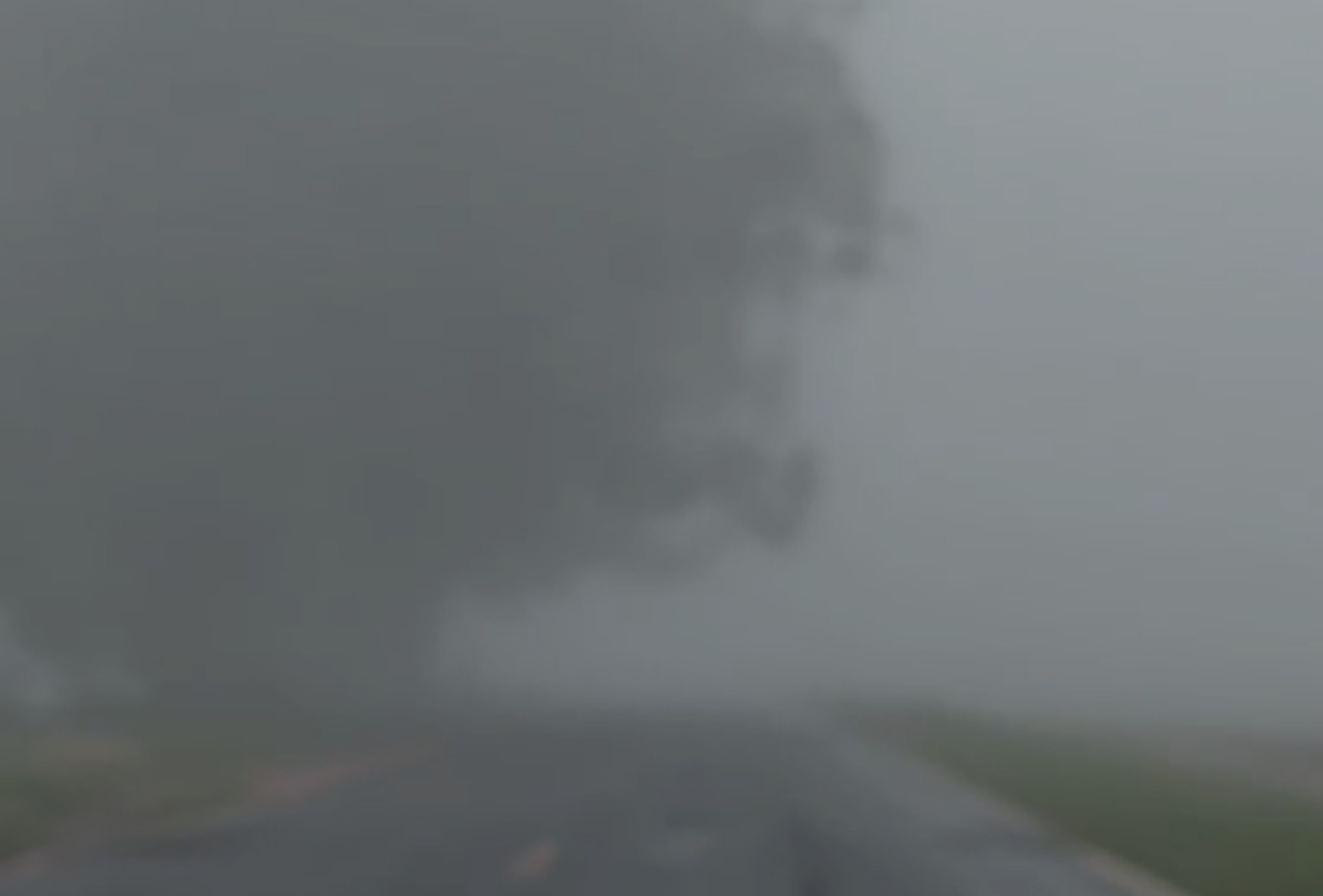 Neblina forte e chuva deixam rodovias de MS com baixa visibilidade