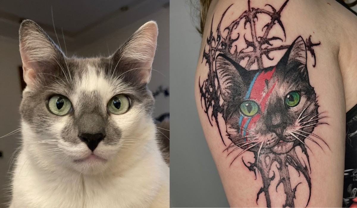 Psicóloga do interior de SP usa cinzas do próprio gato em tinta de tatuagem para homenageá-lo