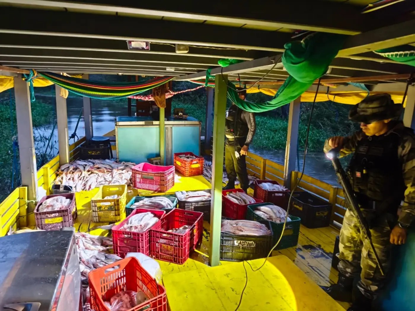 Ação Integrada da Base Candiru intercepta 5 toneladas de Mapará em Óbidos