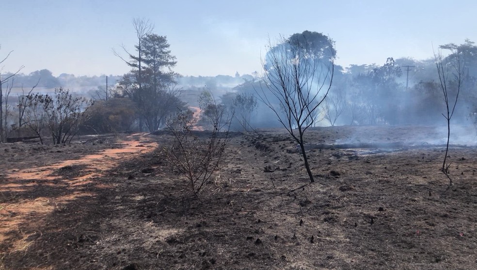 Incêndio destrói 12 hectares de área de pastagem às margens de estrada vicinal, em Osvaldo Cruz (SP) — Foto: Renato Campanari/TV Fronteira