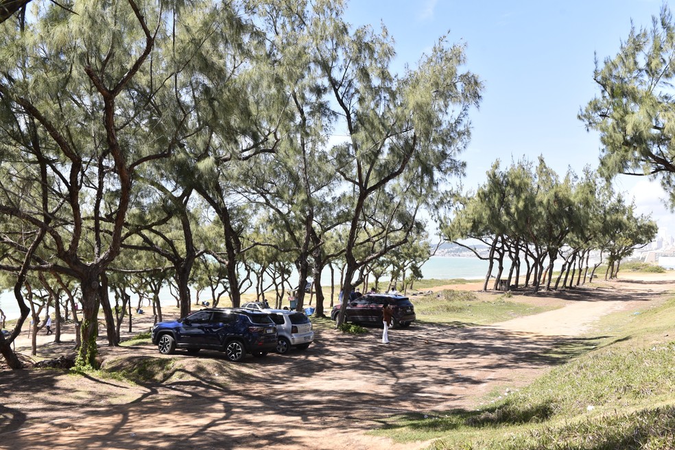 Bosque dos Pinheiros ou Vale das Cascatas, na Via Costeira, onde o projeto será instalado — Foto: Elisa Elsie/governo do RN/ARQUIVO