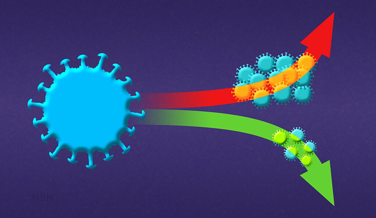 Fortaleça o seu sistema imunológico em época de Coronavírus