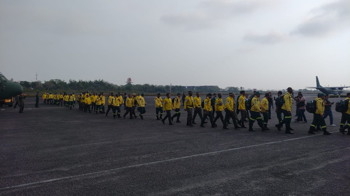 Mais 94 brigadistas do Ibama chegam ao Amazonas para apoiar combate às ...