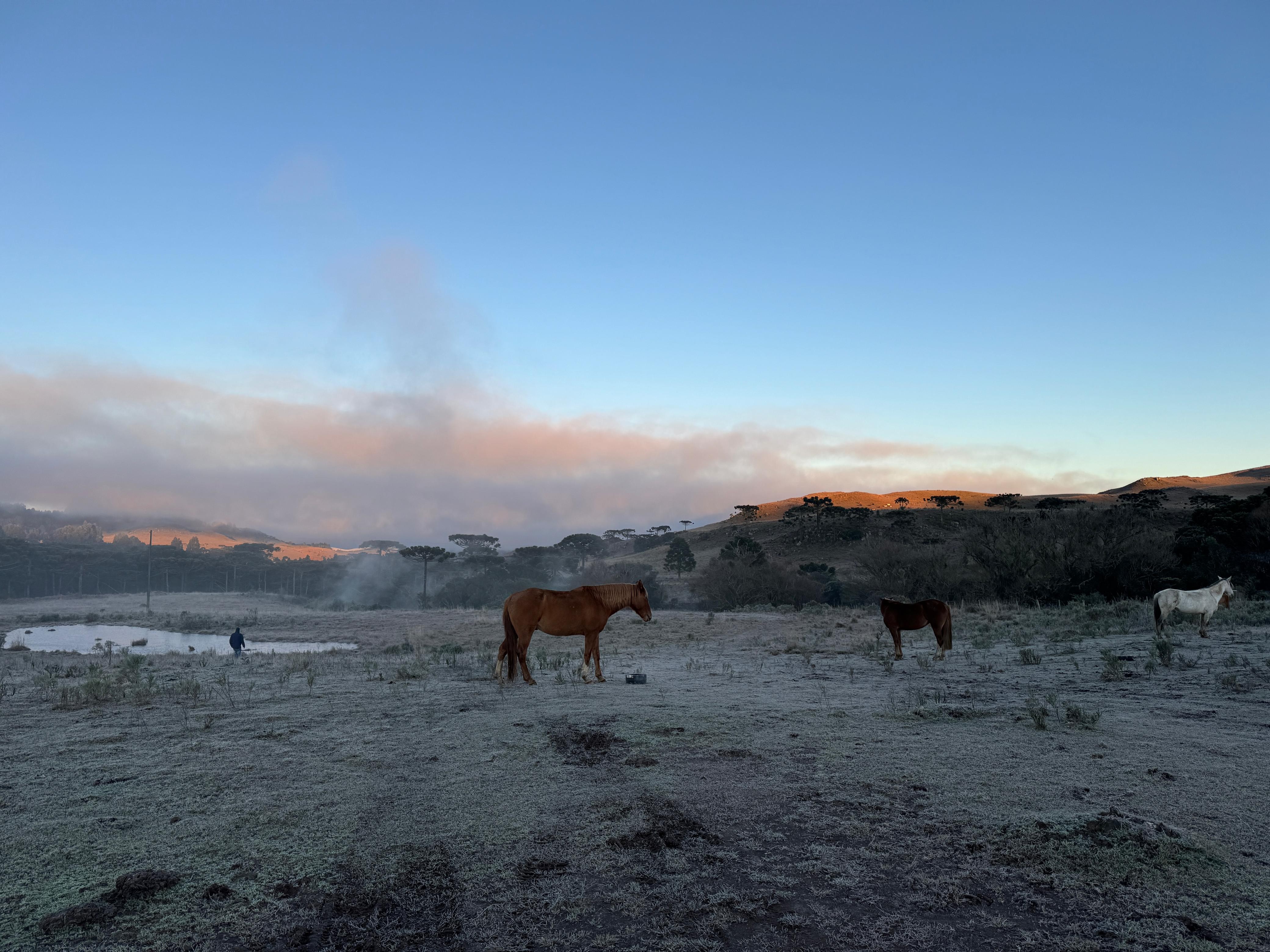 SC amanhece com mínima de -5ºC e mais de 10 cidades abaixo de zero; VÍDEO