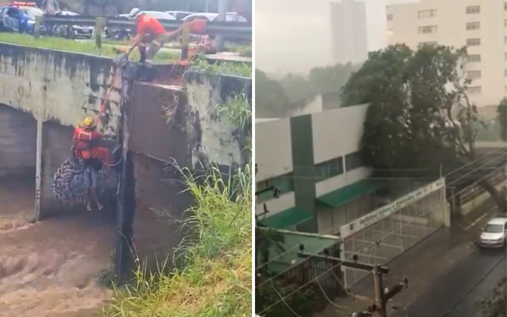 Homem ilhado, alagamentos e queda de árvores: temporal causa estragos em Goiânia