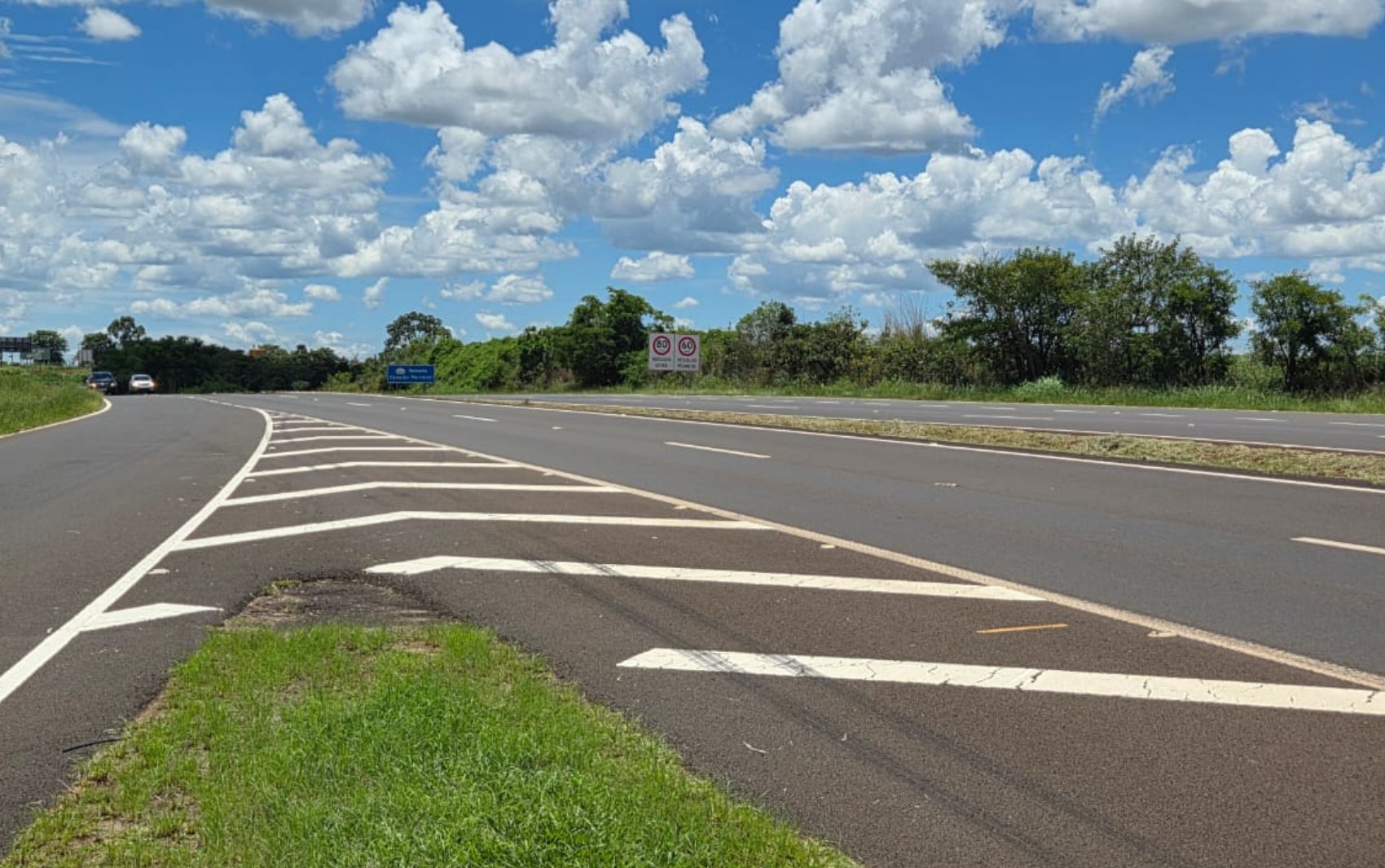 Mulher morre atropelada e motorista foge em rodovia no interior de SP
