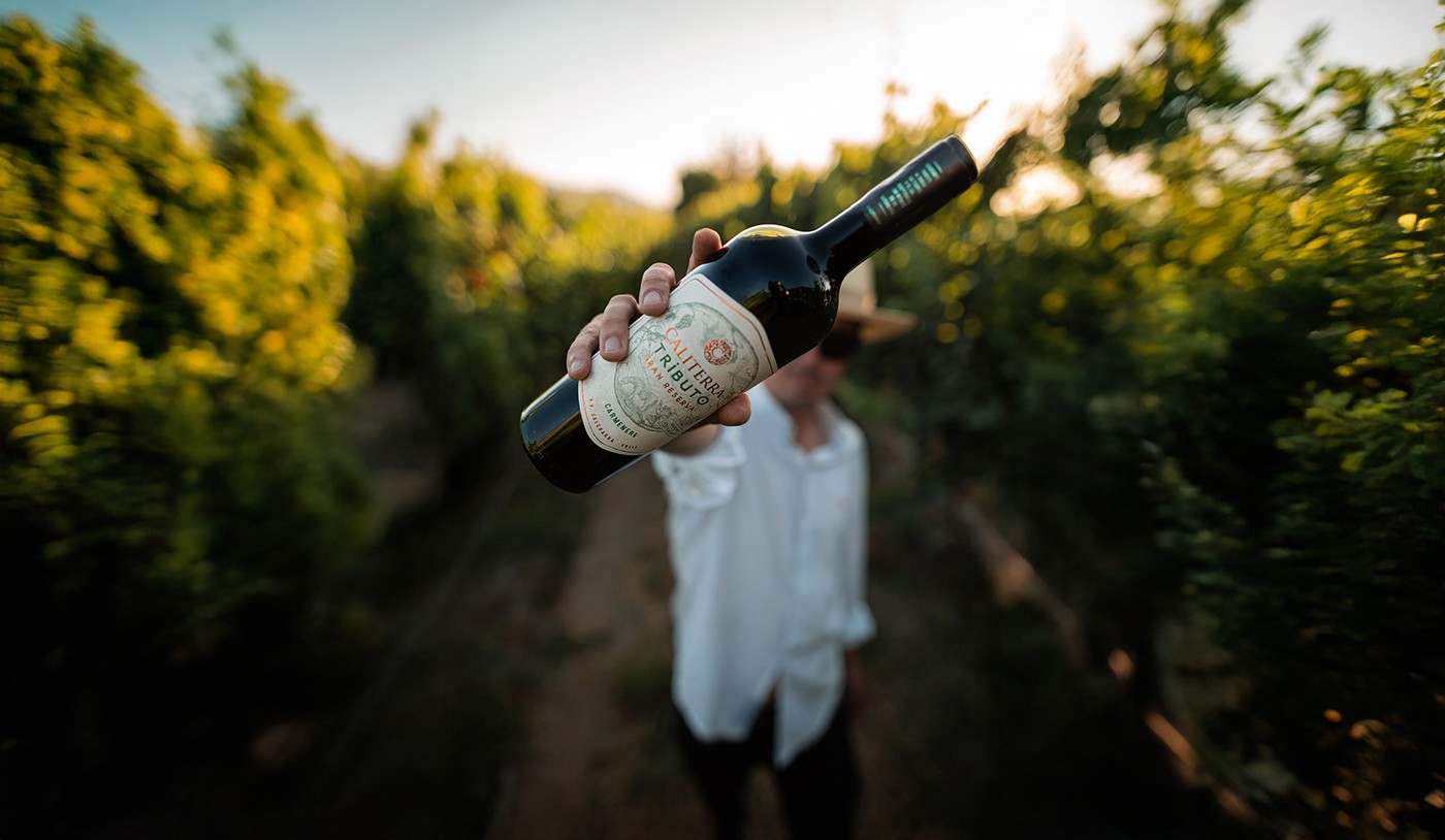 4 vinhos de Carménère do Chile para você provar neste inverno
