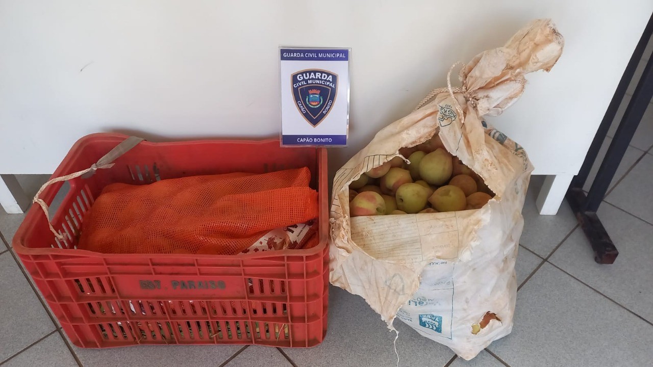 GCM prende dupla suspeita de furtar 42 kg de pêssegos no interior de SP