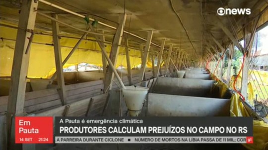 Produtores rurais calculam prejuízos no campo com temporal no RS - Programa: GloboNews em Pauta 