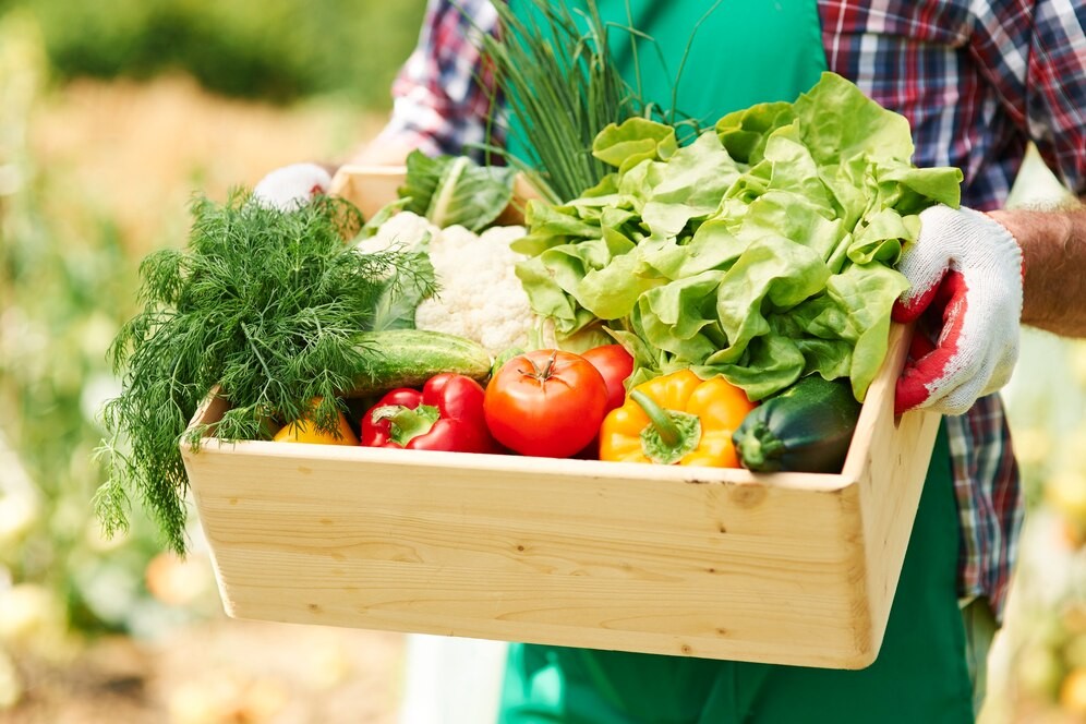 Evento promove práticas sustentáveis na agricultura familiar em São Luís