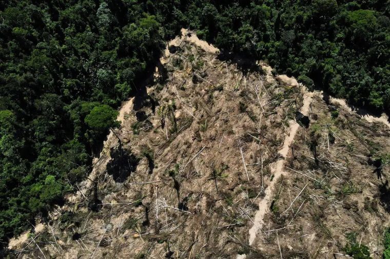 MP investiga uso irregular de vegetação nativa em projetos florestais de MT