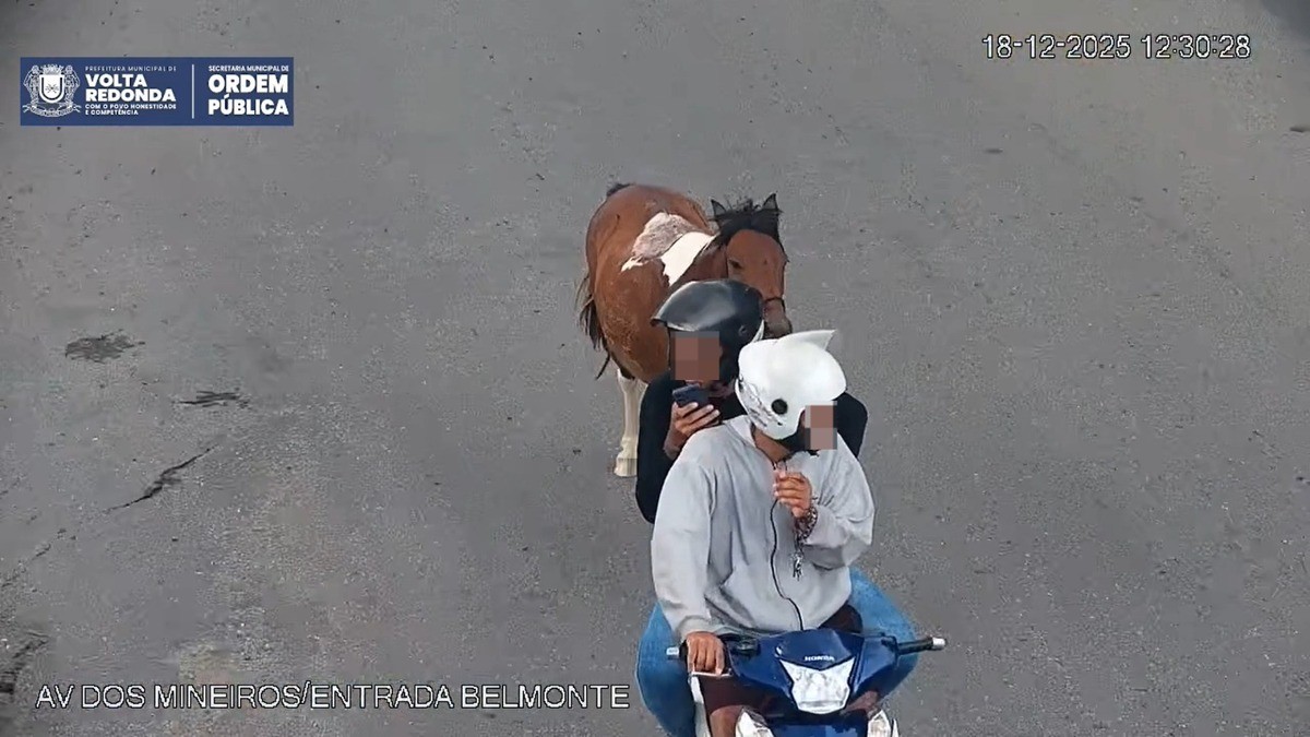 Cavalo amarrado em corda é puxado por moto em Volta Redonda; Dois jovens foram autuados 
