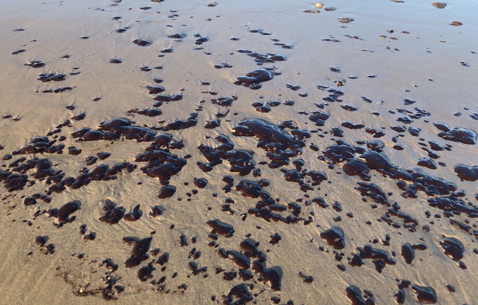 Pescadores são cadastrados para ação que pede indenização por manchas de óleo que atingiram litoral do Piauí