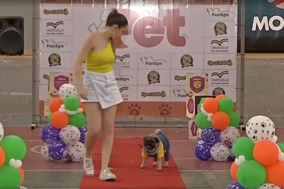 Com feira de adoção e desfile, 'Show Pet' chega à 4ª edição em Corumbá