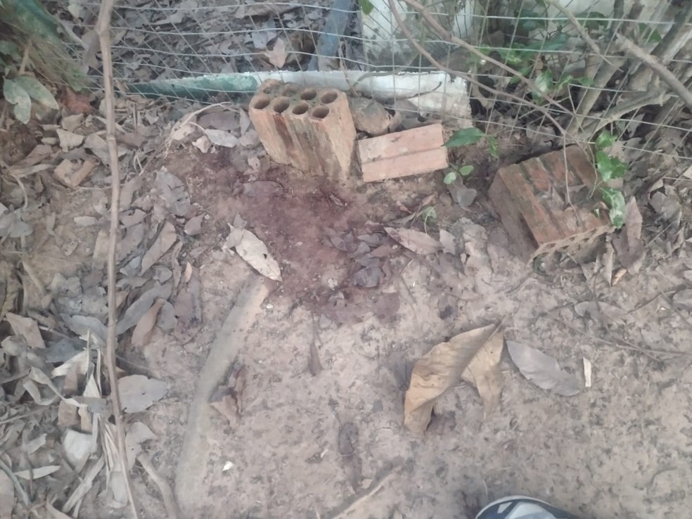 Segundo Tania, imagens provam que Kolbi atravessou a cerca e foi para seu lado do terreno — Foto: Arquivo pessoal