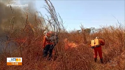 Incêndio é registrado em área de produção rural da Vila Agrotins, em Palmas