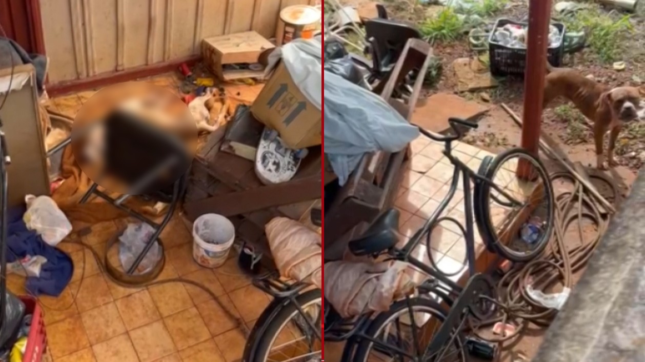 Você Não Tá Convidada pro Meu Bat Mitzvá!