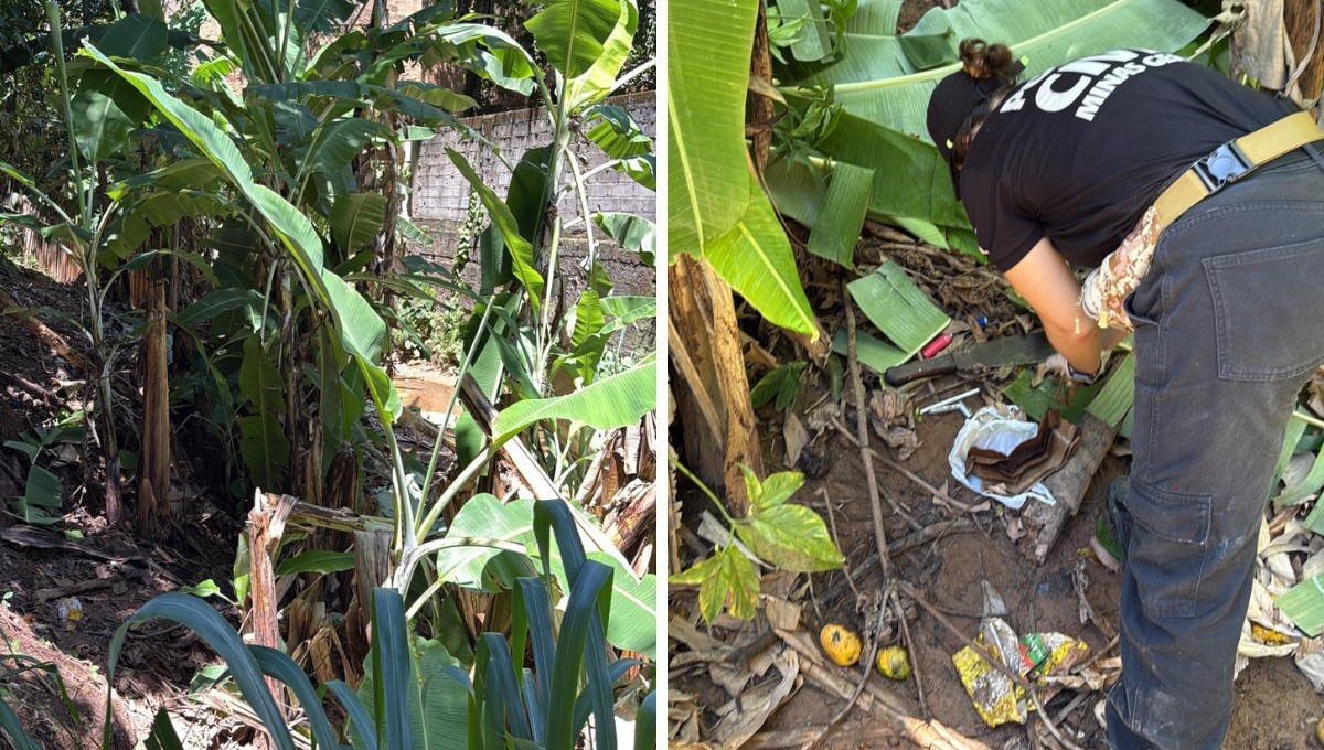 Corpo é encontrado coberto por folhas de bananeira em mata de Caratinga