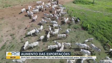 Acre tem crescimento de 13% no balanço comercial entre 2024 e 2025