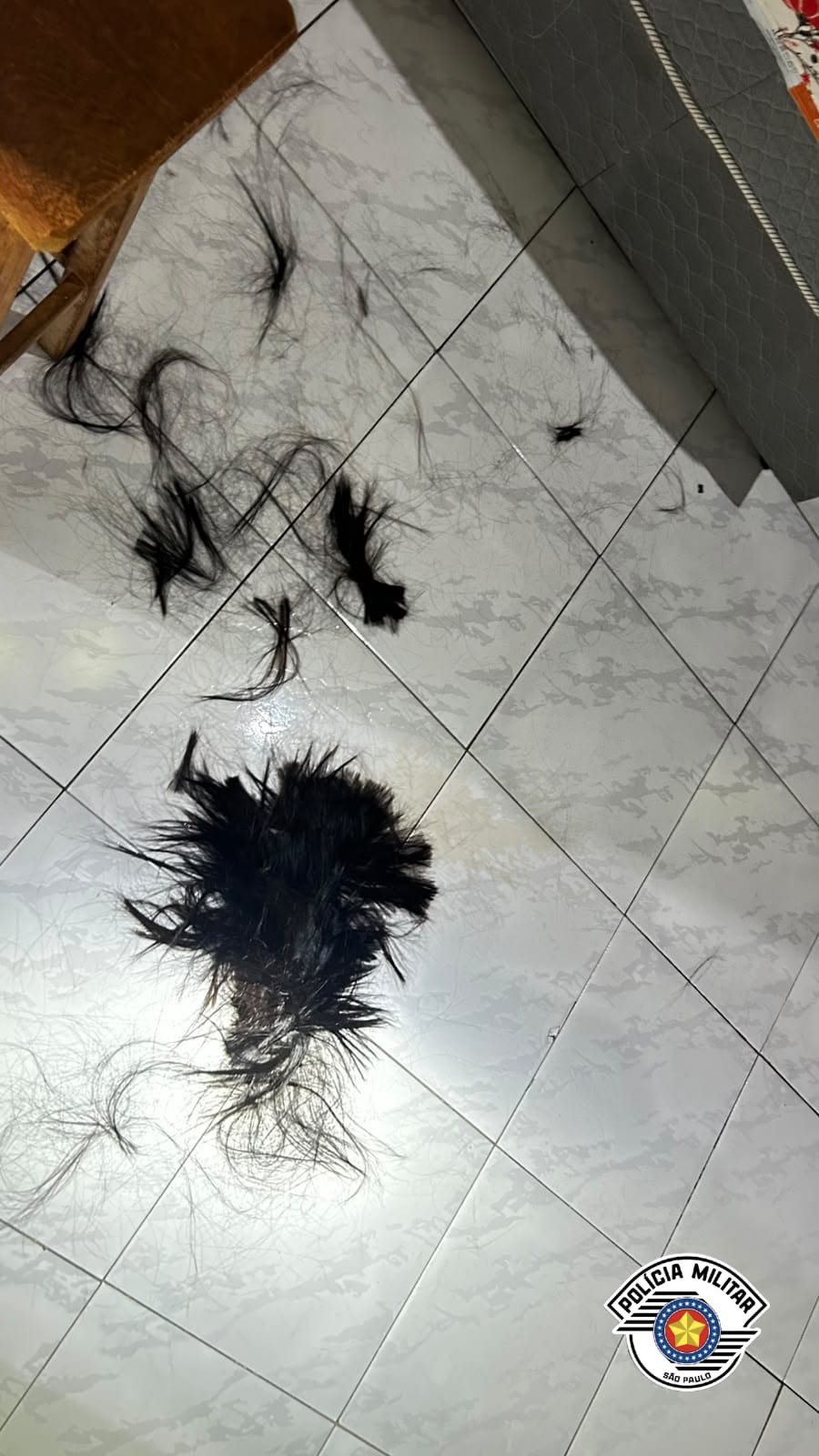 Homem é preso após cortar cabelo de namorada durante discussão por ciúmes em Engenheiro Coelho 