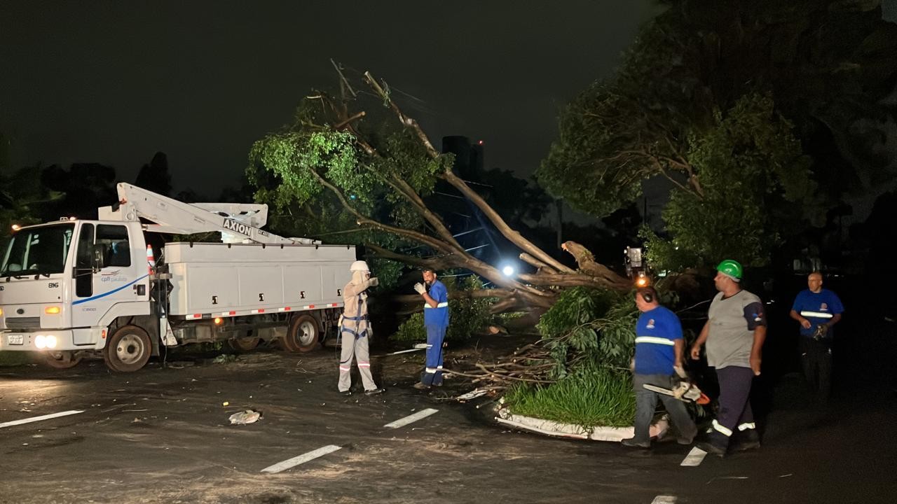 Árvore cai sobre motociclista durante temporal em Americana