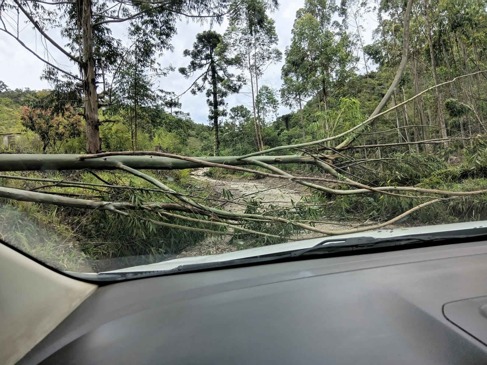 Queda de barreira interdita Rodovia Oswaldo Cruz, em São Luiz do Paraitinga