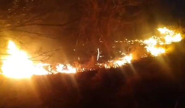 Fogo foi controlado pelo Corpo de Bombeiros — Foto: Reprodução/TV Paraíba