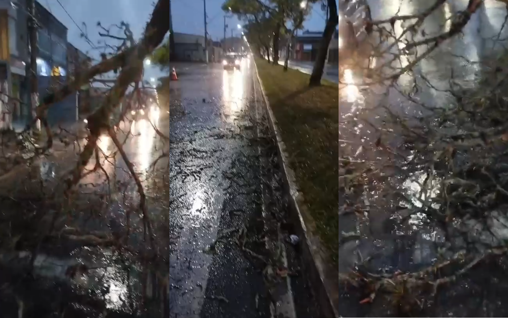 Chuva com ventos de até 70 km/h provoca queda de árvore, destelhamento e falta de energia em Pouso Alegre, MG