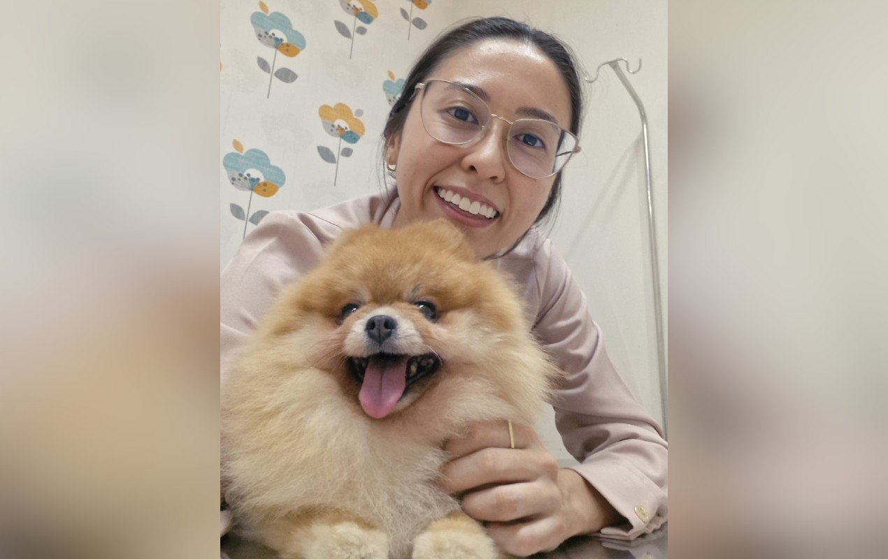 Banho em pets: veterinária explica sobre frequência ideal e impactos na saúde dos animais 
