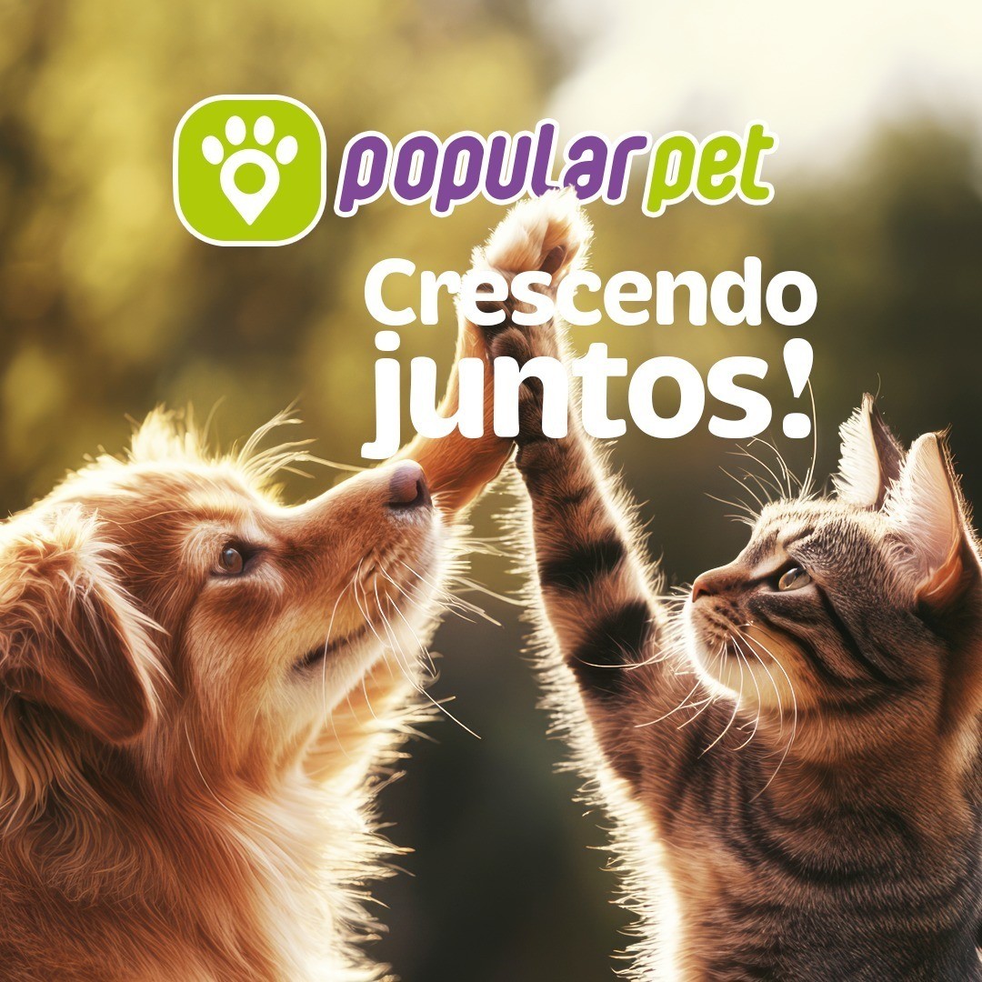 Aniversário Premiado: Popular Pet Celebra 4 Anos