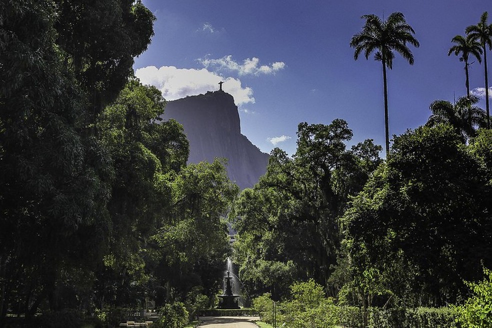 Chafariz do Jardim Botânico do Rio — Foto: Reprodução/Alexandre Machado