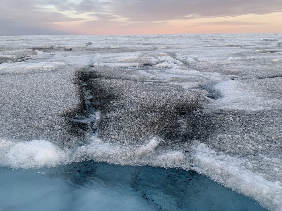 As algas escurecem o gelo, o que faz com que ele reflita menos luz solar e derreta mais rapidamente. — Foto: Laura Perini