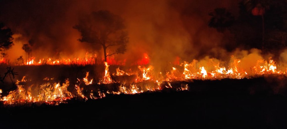 Incêndio na região do Rio Negro, no Pantanal de MS, em janeiro  — Foto: Leonardo Gomes/ SOS Pantanal
