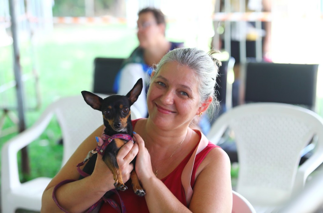 São José consolida política de bem-estar animal com mais de 37 mil castrações