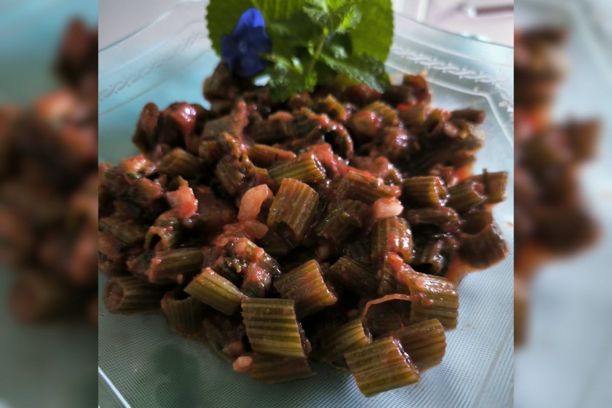 De bucha refogada até macarrão do talo da abóbora: como uma moradora do interior de SP transformou ‘mato’ em comida nutritiva na internet