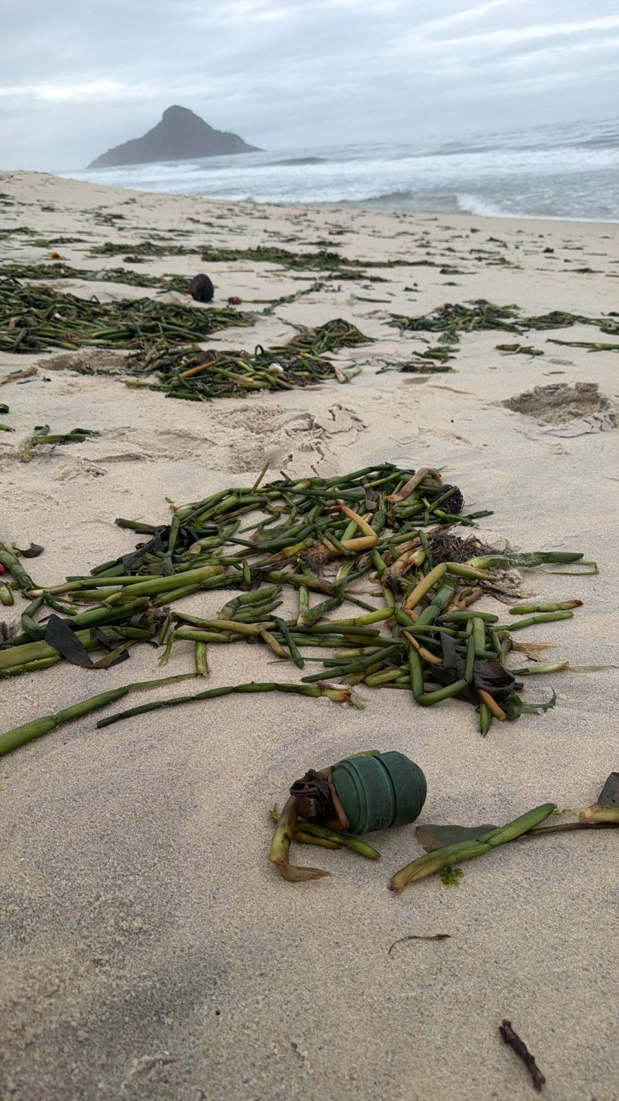Granada é encontrada por banhistas em praia no Recreio