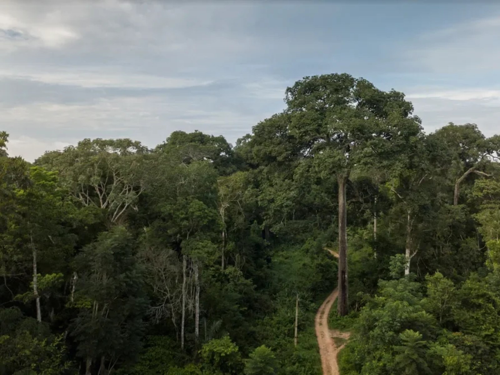 Desmatamento no Acre tem redução de 22% em um ano, aponta Inpe