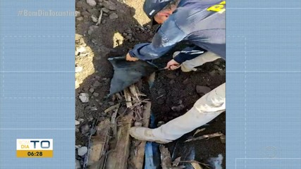 PRF apreende caminhão com madeira ilegal retira do Pará na BR-153