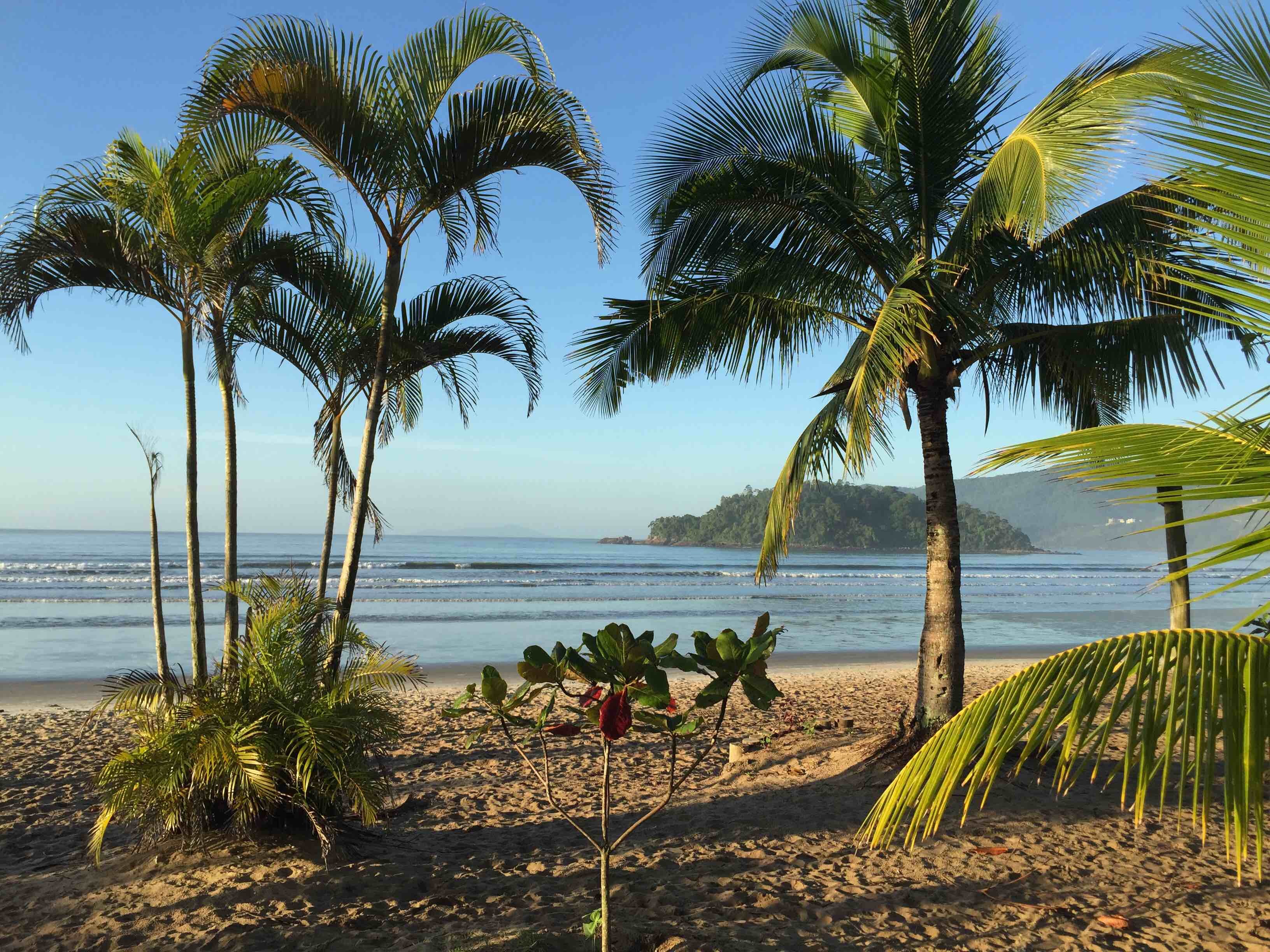 Imagem da notícia - G1