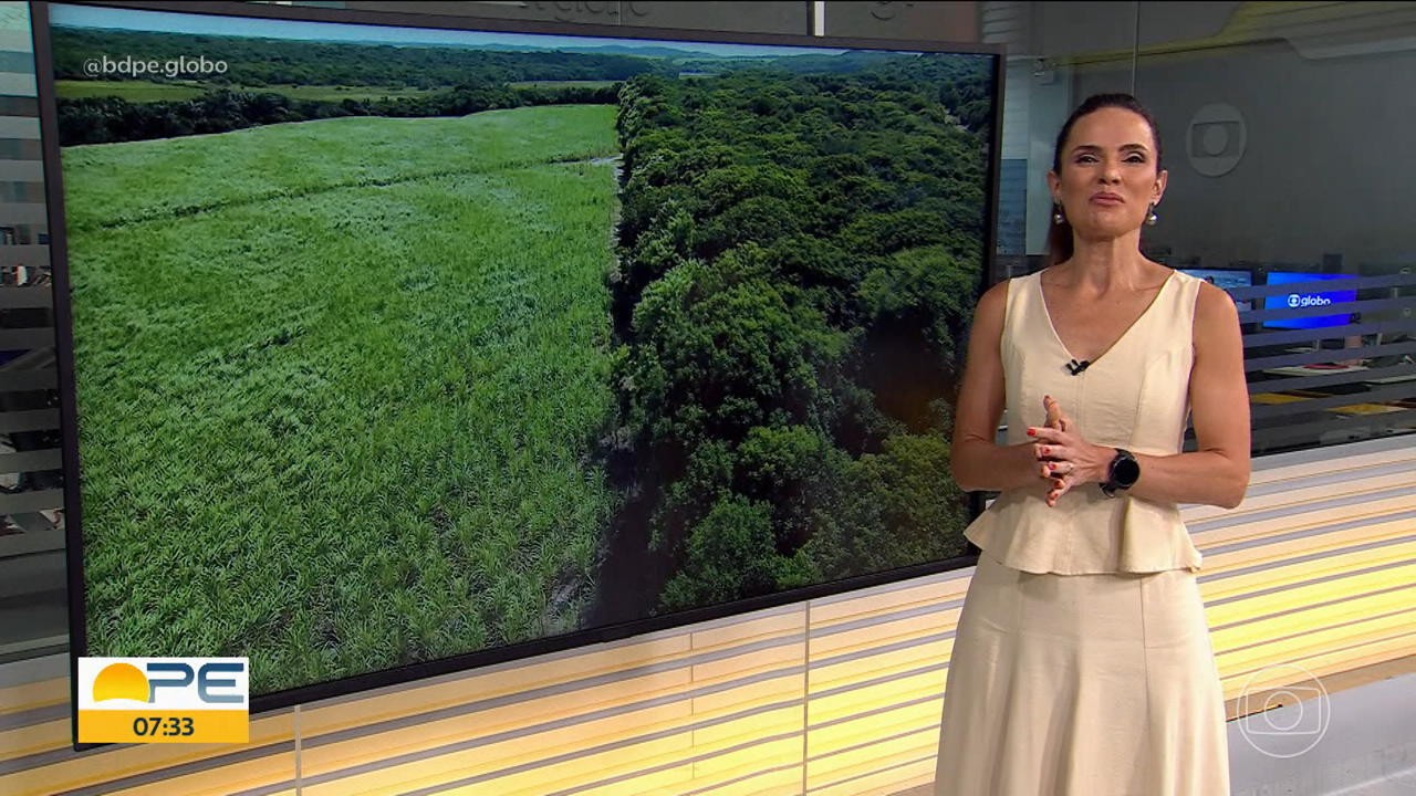 VÍDEOS: Bom Dia PE de sexta-feira, 5 de junho de 2026