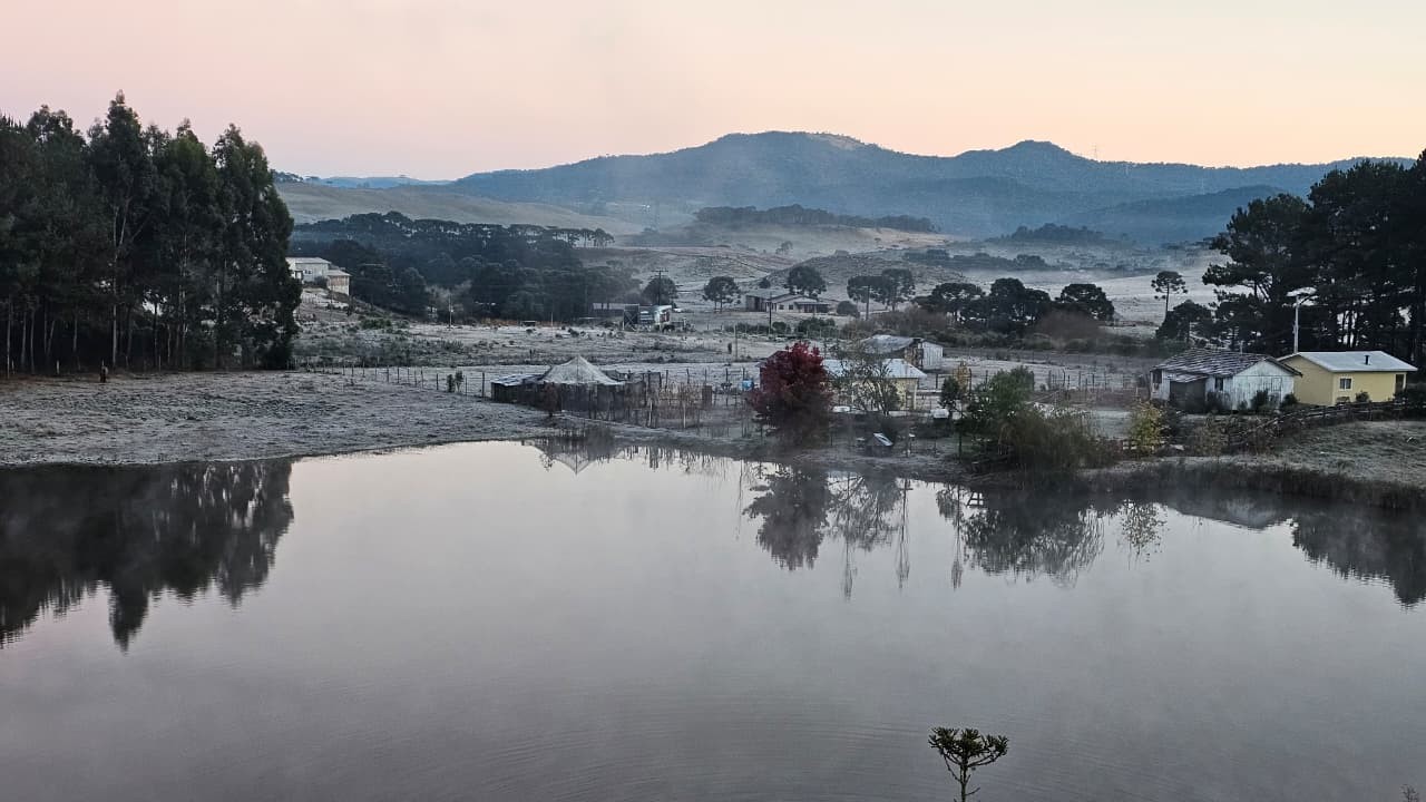 SC amanhece com -5,6°C e 'tapete de gelo' cobrindo vegetação; VÍDEO 
