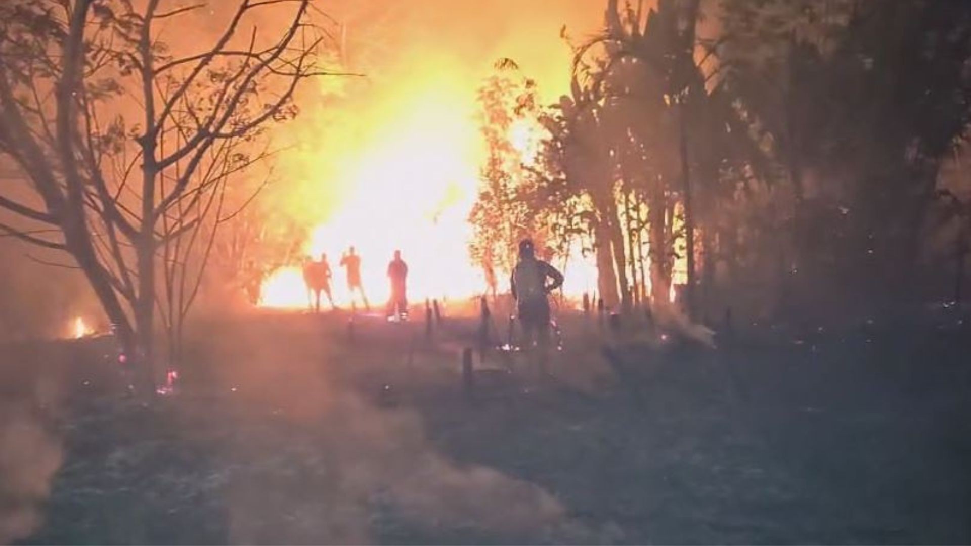 Incêndio de grandes proporções em área de vegetação ameaça residências em Oiapoque