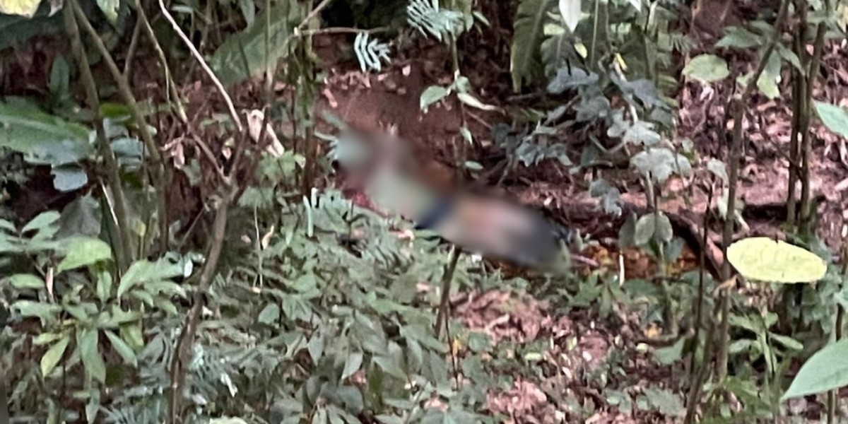 Corpo é encontrado em córrego na zona rural de Timóteo