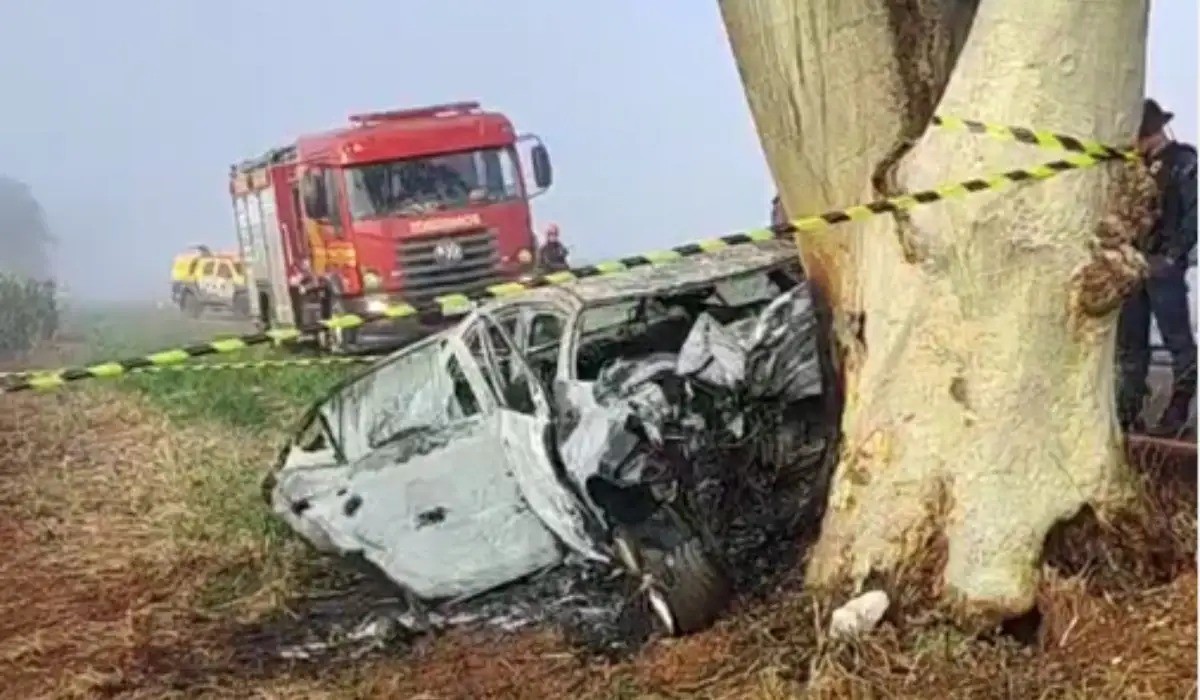 Dois morrem carbonizados após carro bater em árvore e pegar fogo em rodovia de MS
