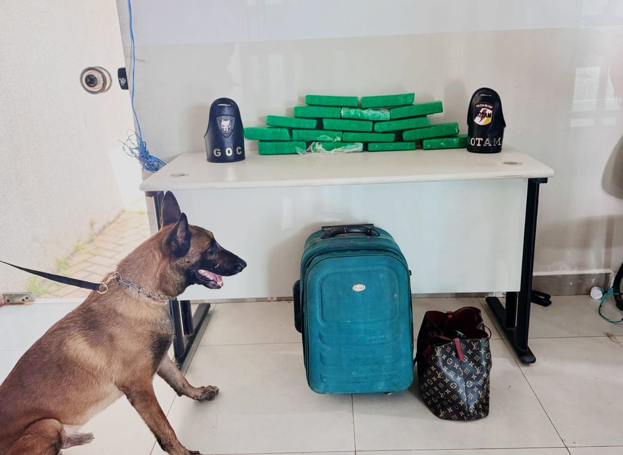 Você Não Tá Convidada pro Meu Bat Mitzvá!