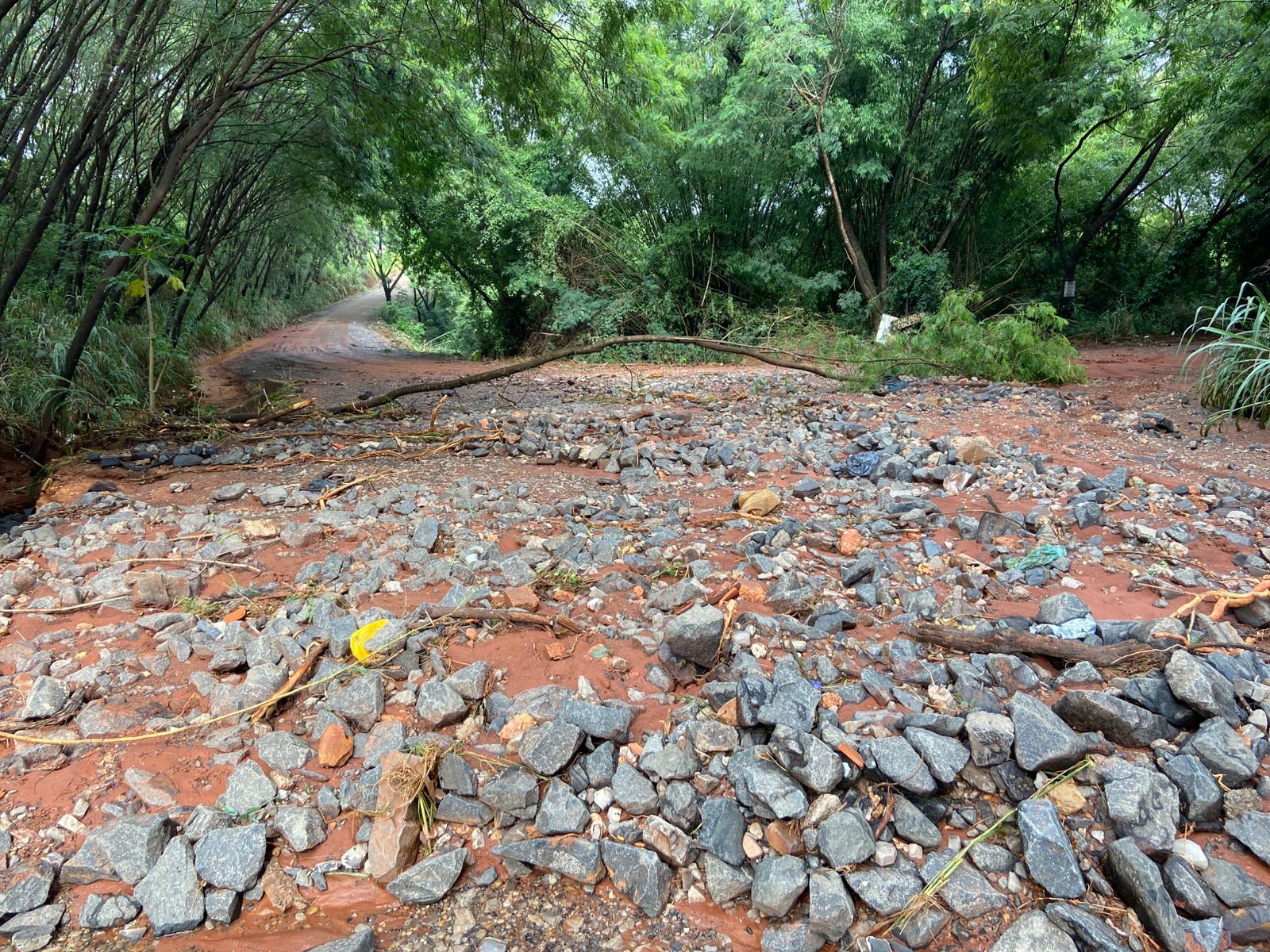 Estrada de Tupi é interditada após erosão e queda de galho durante temporal em Piracicaba