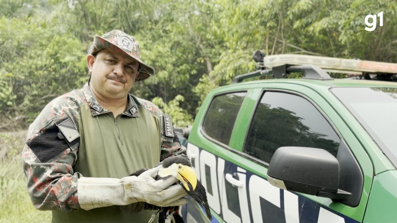 Tucano é resgatado quando tentava fugir do fogo no Pantanal de MS
