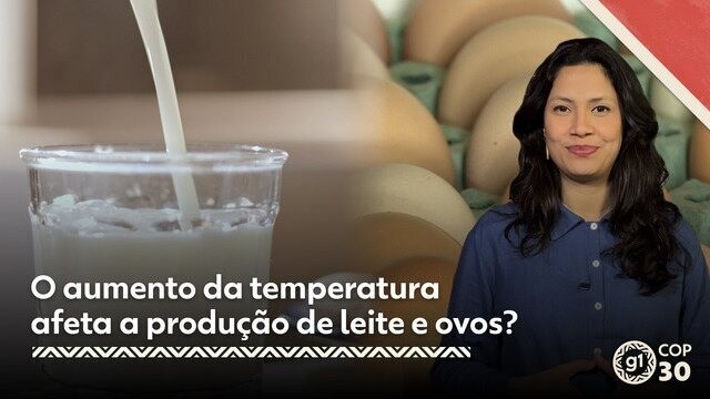 O aumento da temperatura afeta a produção de leite e ovos?