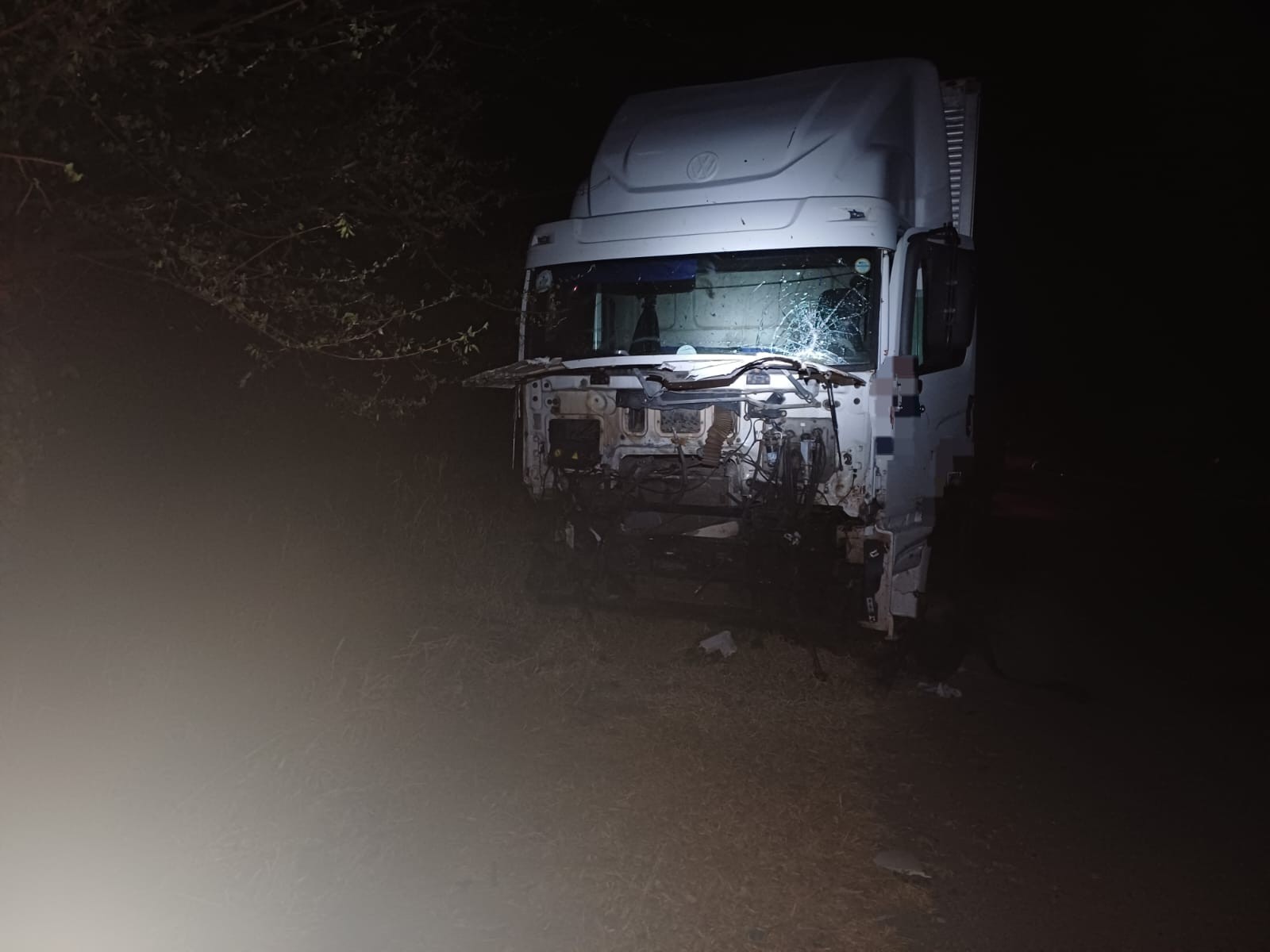 Caminhão atinge 10 bois na BR-232 em Arcoverde